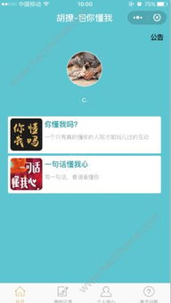 胡撩答題軟件探秘 功能、安全性與重慶軟件開發環境解析